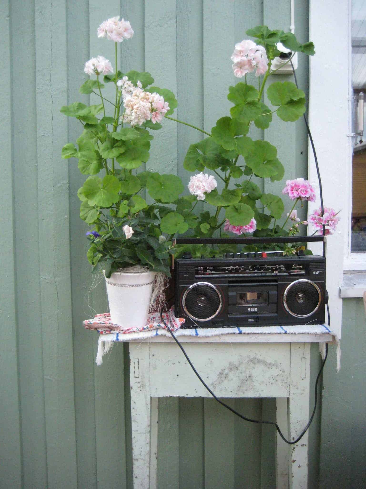 Radio ja pelargoniat kesämökin seinän vierustalla